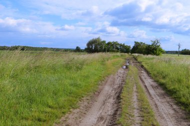 Tarlası olan kırsal yol
