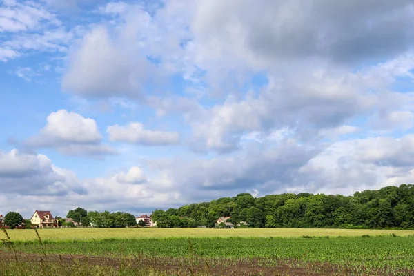 Güzel bulutlu gökyüzü ile kırsal alanda yeşil çimen tarlası