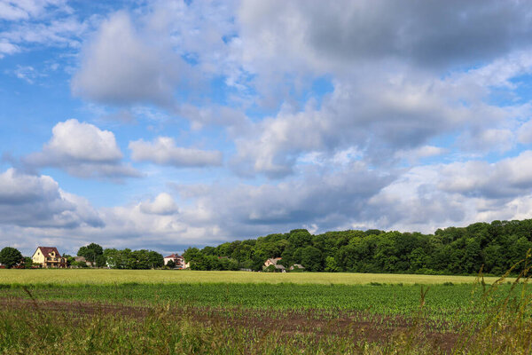 сельский пейзаж с зеленым полем и голубым небом