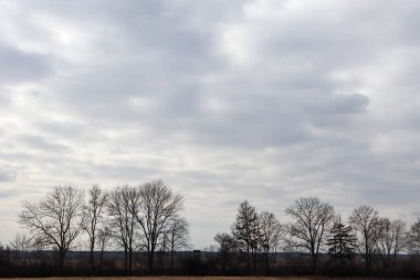 Kışın ağaçlar, doğa ve bulutlu hava.