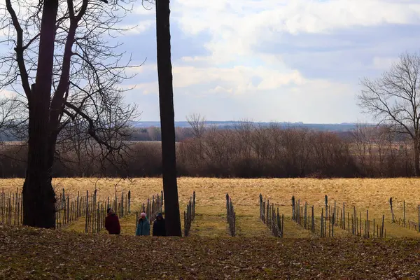 Sonbahar parkındaki köy.