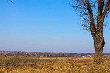 Bir çim tarlası ve küçük bir köyü olan manzara.