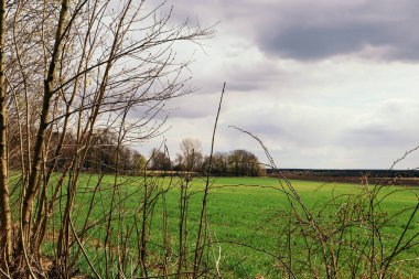 Nehir ve mavi gökyüzü olan güzel bir manzara.