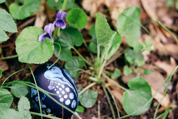 Çimenlerdeki mavi çiçek ve yumurta