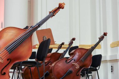 müzik aletleri ve enstrümanlar