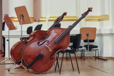 Orkestranın görüntüsü