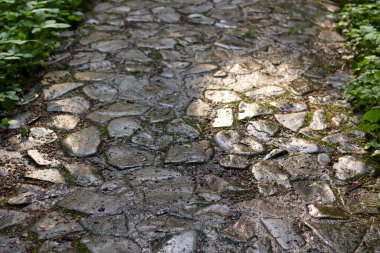 Yeşil çimenli taş kaldırım dokusu
