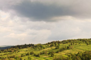 Yazın dağlarda yeşil tarlalar ve çayırlar.