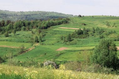 Bir nehir ve bulutlu bir gökyüzü manzaralı güzel bir manzara yaz günü Ukrayna 'daki yeşil çimenler ve ağaçlar köyü.