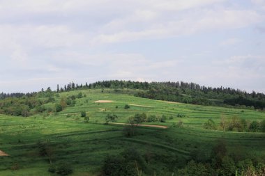 yeşil çayır ve mavi gökyüzü yeşil çimenler ve Ukrayna 'daki ağaçlar köyü