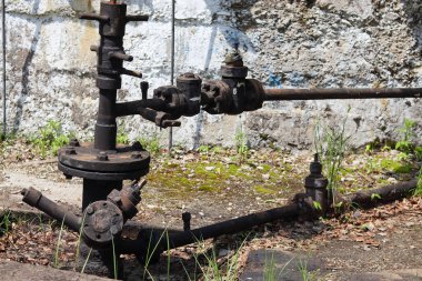 Duvardaki paslı kapakçık..