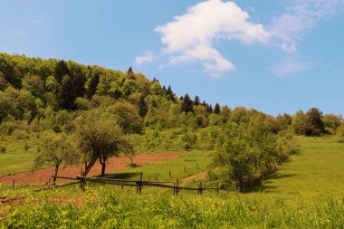 Ağaçlarla dolu bir tarlası ve bulutlu bir gökyüzü olan güzel bir manzara.