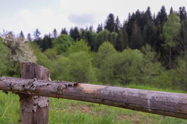 Yeşil arka planı olan eski ahşap çit.
