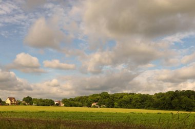 Hollanda kırsal manzara