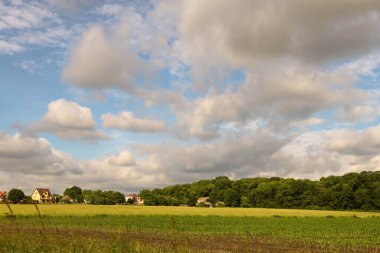 Kırsal alanda yeşil alan