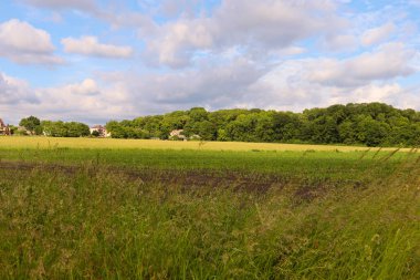 Yazın yeşil tarla ve köy