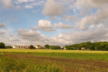 Doğanın güzel manzarası