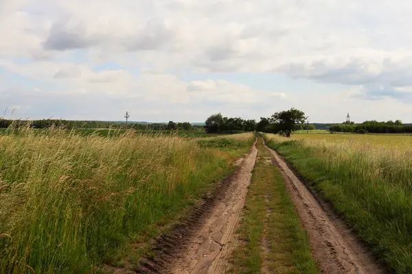 Kırsal yol yeşil bir alanda