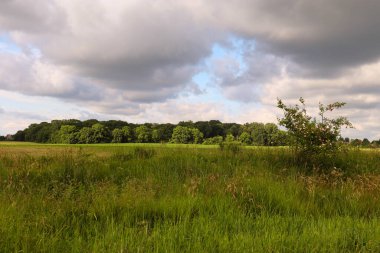 Yeşil Alan ve Bulutlu Gökyüzü