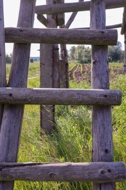 Tahta çitler ve çimenler..