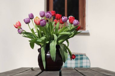 Vazoda kırmızı lale