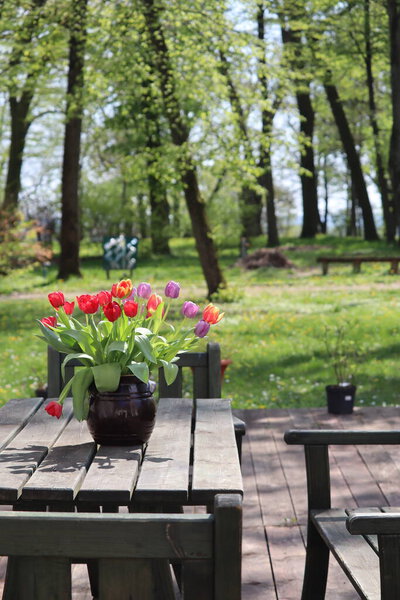 beautiful flowers in the garden
