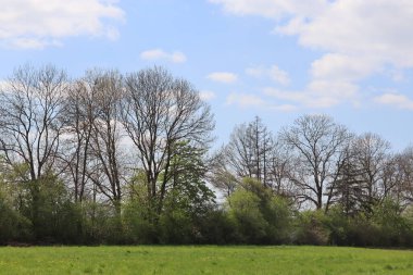 Doğanın güzel manzarası