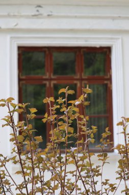 Ahşap çerçeveli pencere