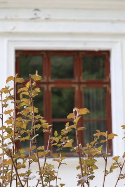 Tahta duvarlı eski pencere