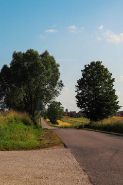 Parkın güzel manzarası