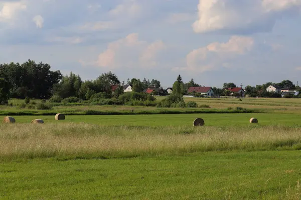Arka planda büyük bir ev olan güzel bir çimen tarlası görüntüsü.
