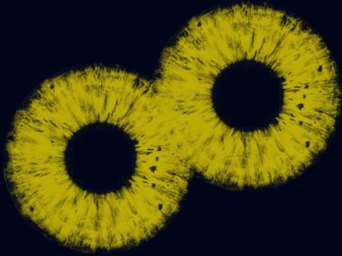   pupil,eyes,vision,pupils yellow,green,red,brown