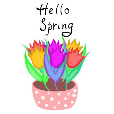  hello spring,greeting card with spring flowers tulips,yellow,pink,purple,happy spring,hello spring,spring flowers,daisies,a frame of spring flowers tulips