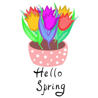  hello spring,greeting card with spring flowers tulips,yellow,pink,purple,happy spring,hello spring,spring flowers,daisies,a frame of spring flowers tulips