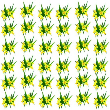   Narcissus, bahar çiçeği, sarı bahar çiçeği, yeşil yapraklı, bahar, güzellik, çiçekçilik, botanik