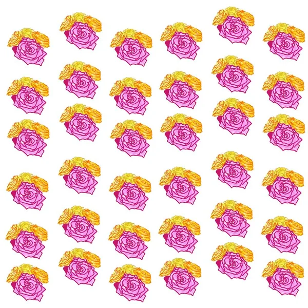 Patrón Sin Costuras Con Flores Marco Rosas Anaranjadas Amarillas Rosadas —  Fotos de Stock
