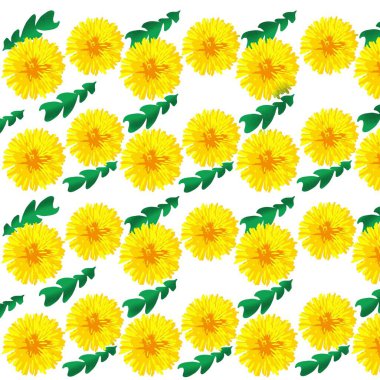   yeşil yapraklı sarı karahindiba çiçekleri