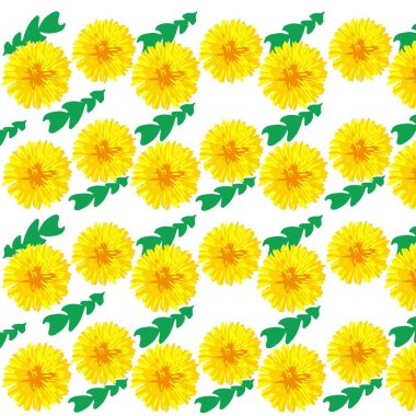   yeşil yapraklı sarı karahindiba çiçekleri