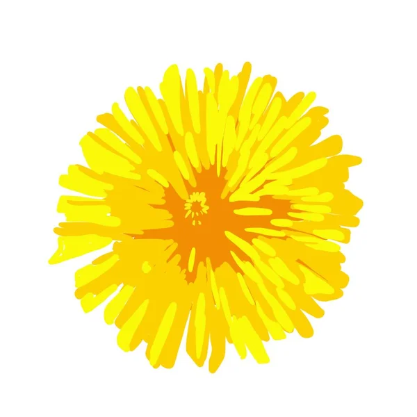 Virág Tavasz Pitypang Sárga Zöld Levelek — Stock Fotó