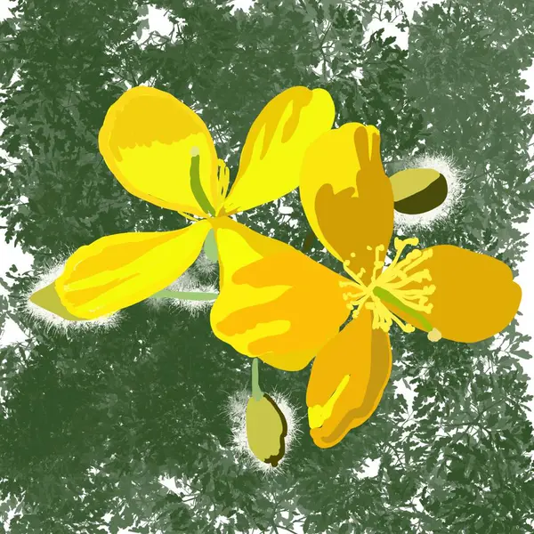 Blume Natur Blumen Frühling Blatt Vektor Pflanze Sommer Blumen Illustration — Stockfoto