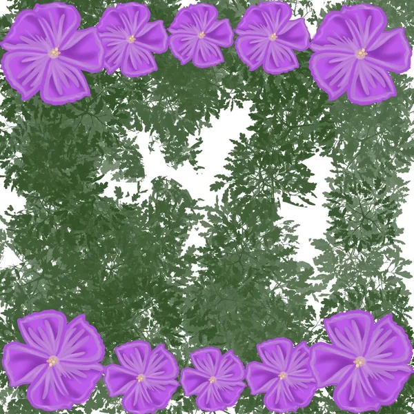 Цветок Цветок Узор Цветы Рамка Розовый Дизайн Природа Иллюстрация Украшение — стоковое фото