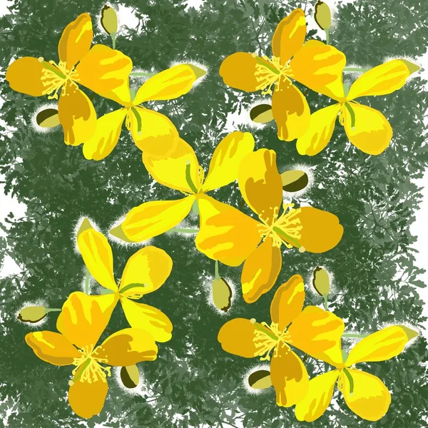 Λουλούδι Φύση Floral Άνοιξη Φύλλα Διάνυσμα Φυτό Καλοκαίρι Λουλούδια Εικονογράφηση — Φωτογραφία Αρχείου