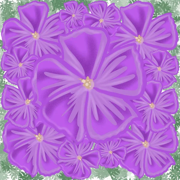 Flor Floral Padrão Flores Quadro Rosa Desenho Natureza Ilustração Decoração — Fotografia de Stock