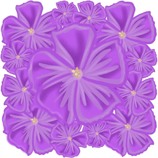 Blume Blumen Muster Blumen Rahmen Rosa Design Natur Illustration Dekoration — Stockfoto