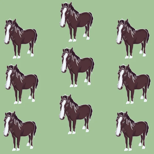 Silhueta Cavalo Animal Vetor Fazenda Ilustração Animais — Fotografia de Stock