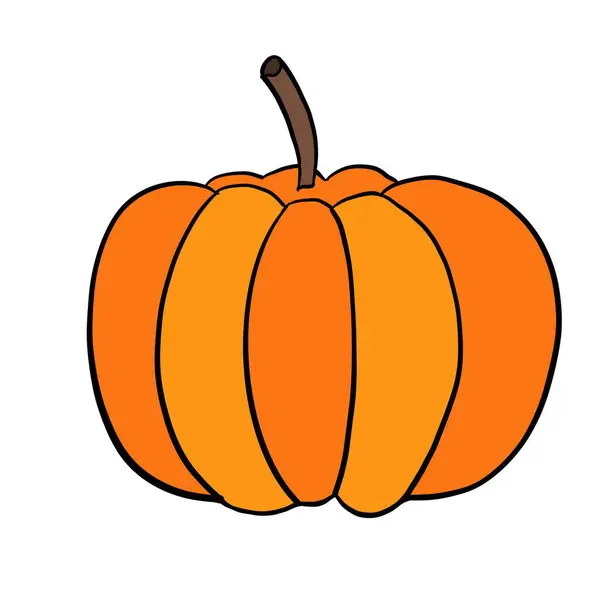 pumpkin, food, fruit, halloween, vegetable, vector, illustration, apple, autumn, orange, drawing