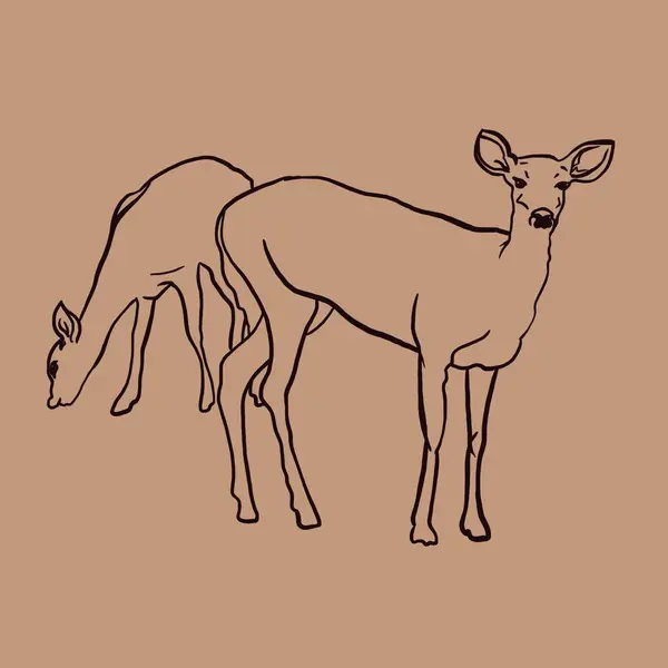 illustration deer, two deer eating grass, two deer grazing in the meadow, animals, park-hoofed animals