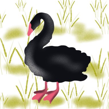   kuş, kuğu, hayvan, vektör, illüstrasyon, çizgi film, doğa, su, gaga, aşk, göl, ördek, siyah, tüy, siluet, kuşlar