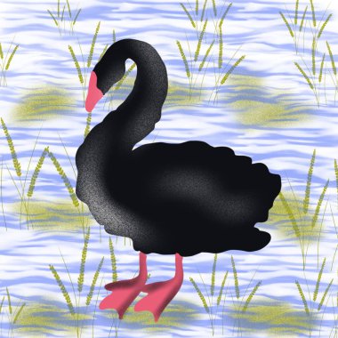   kuş, kuğu, hayvan, vektör, illüstrasyon, çizgi film, doğa, su, gaga, aşk, göl, ördek, siyah, tüy, siluet, kuşlar