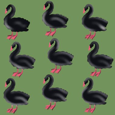   kuş, kuğu, hayvan, vektör, illüstrasyon, çizgi film, doğa, su, gaga, aşk, göl, ördek, siyah, tüy, siluet, kuşlar